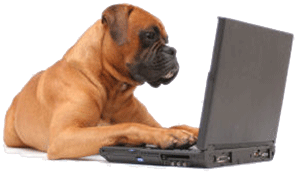 dogandcomputer1